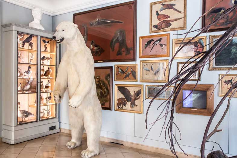 Vue Musée de la Chasse et de la Nature